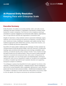 AI-Powered Entity Resolution: Keeping Pace with Enterprise Scale ...